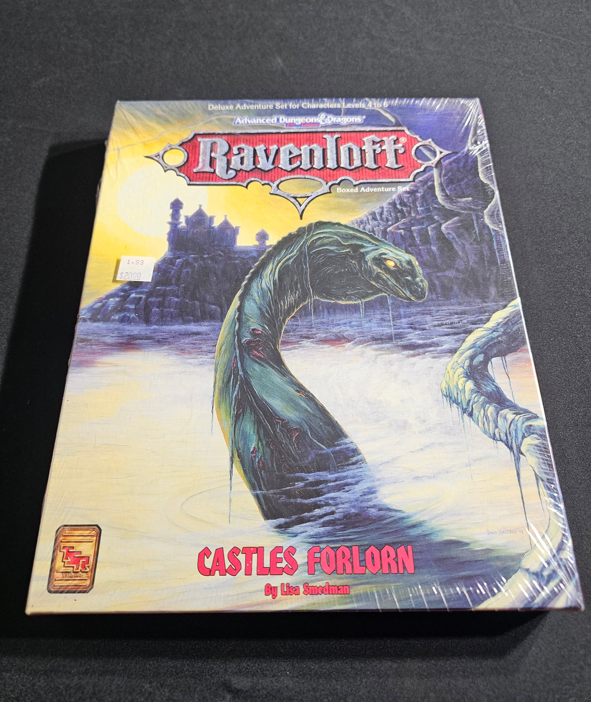 Ravenloft: Castles Forlorn Boxed Adventure Set – SW