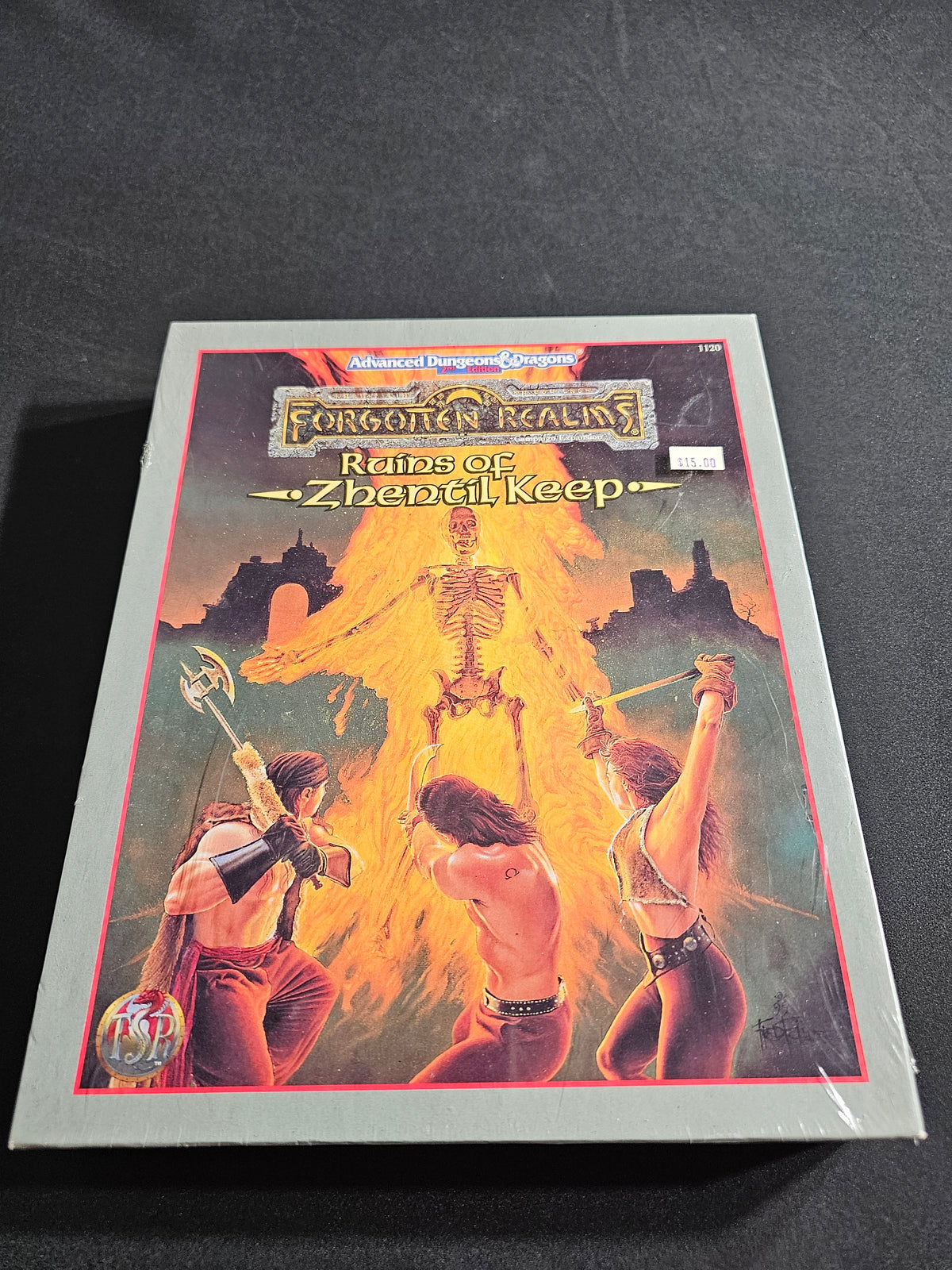 Forgotten Realms: Ruins of Zhentil Keep – SW