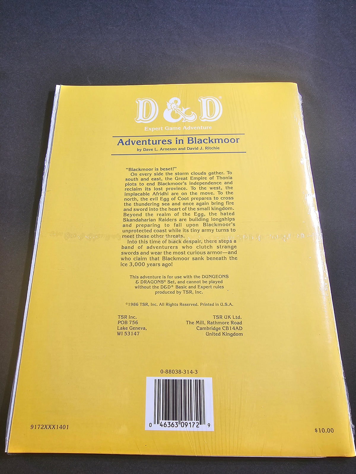 D&D DA1 Adventures in Blackmoor – Expert Game Adventure – SW