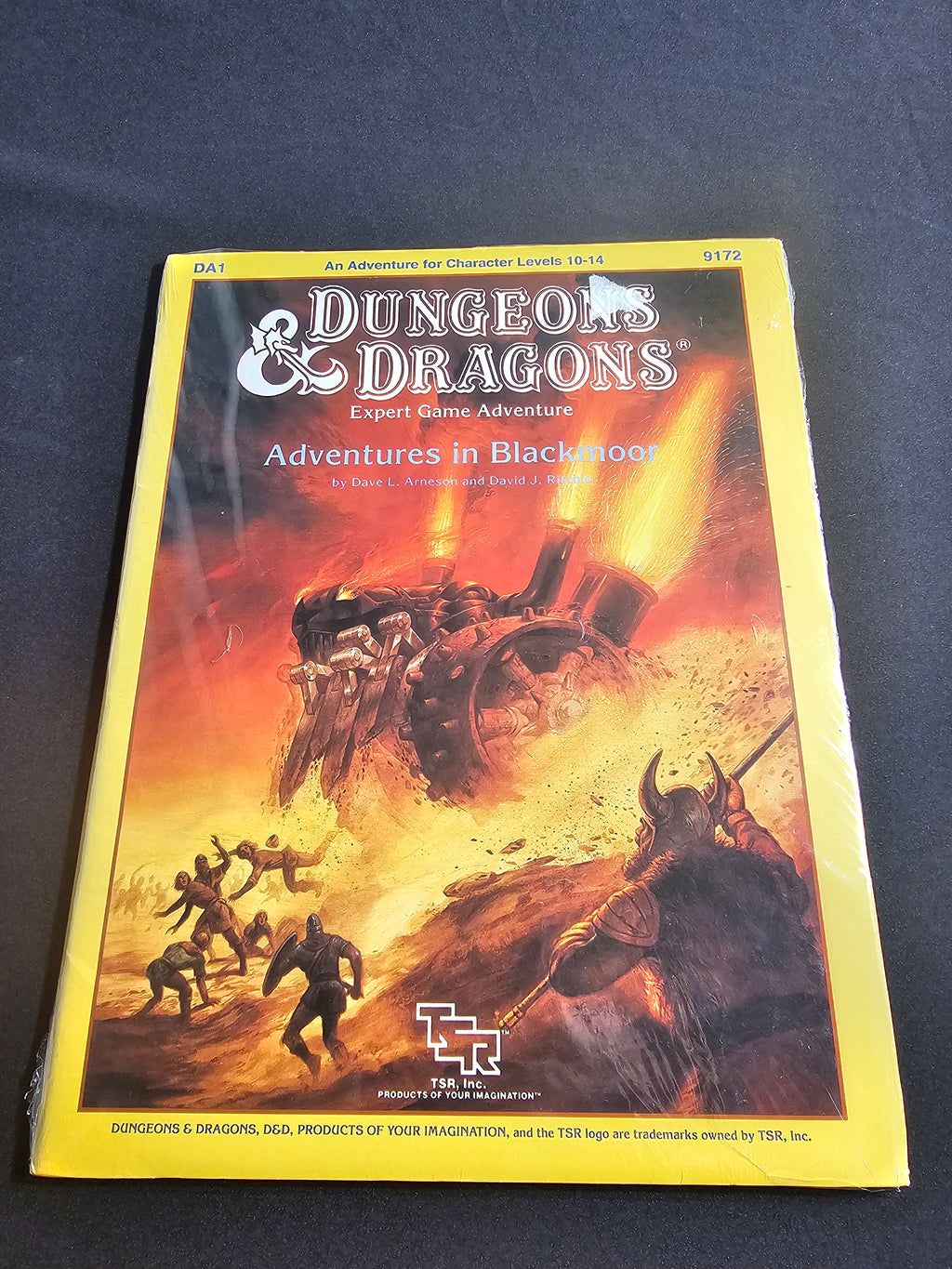 D&D DA1 Adventures in Blackmoor – Expert Game Adventure – SW