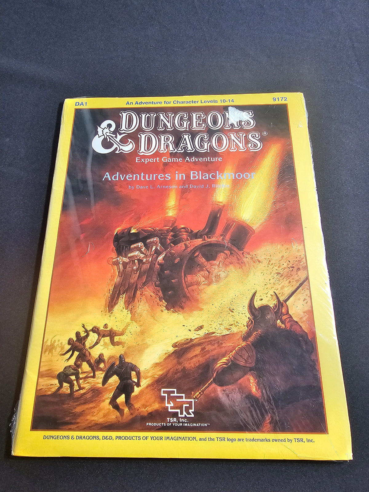 D&D DA1 Adventures in Blackmoor – Expert Game Adventure – SW