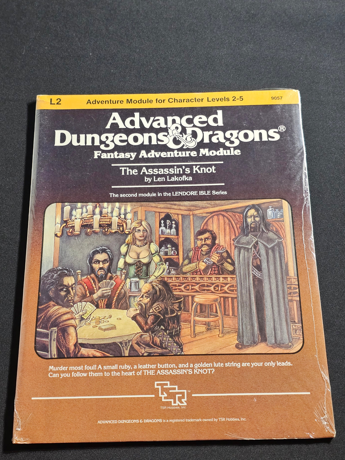 L2 The Assassin's Knot – AD&D Fantasy Adventure Module – TSR 9057 – SW
