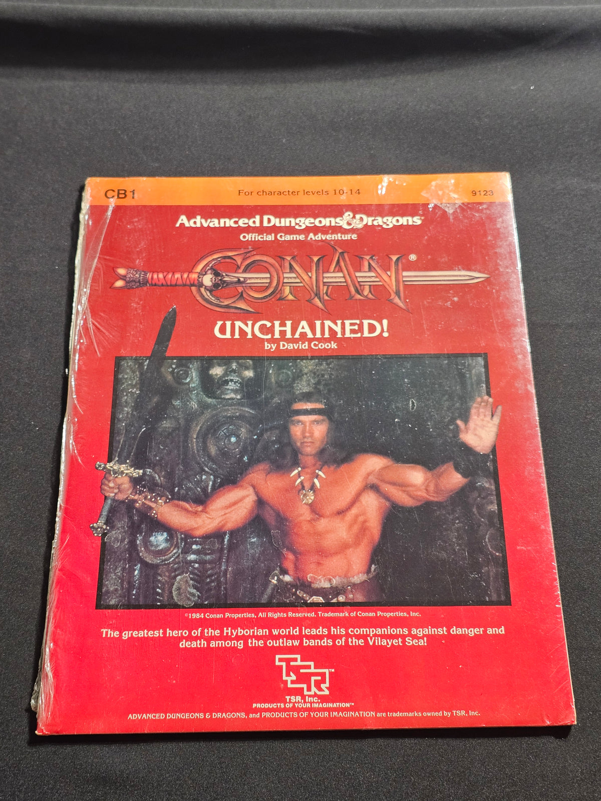 CB1 Conan Unchained! – AD&D – TSR 9123 – SW