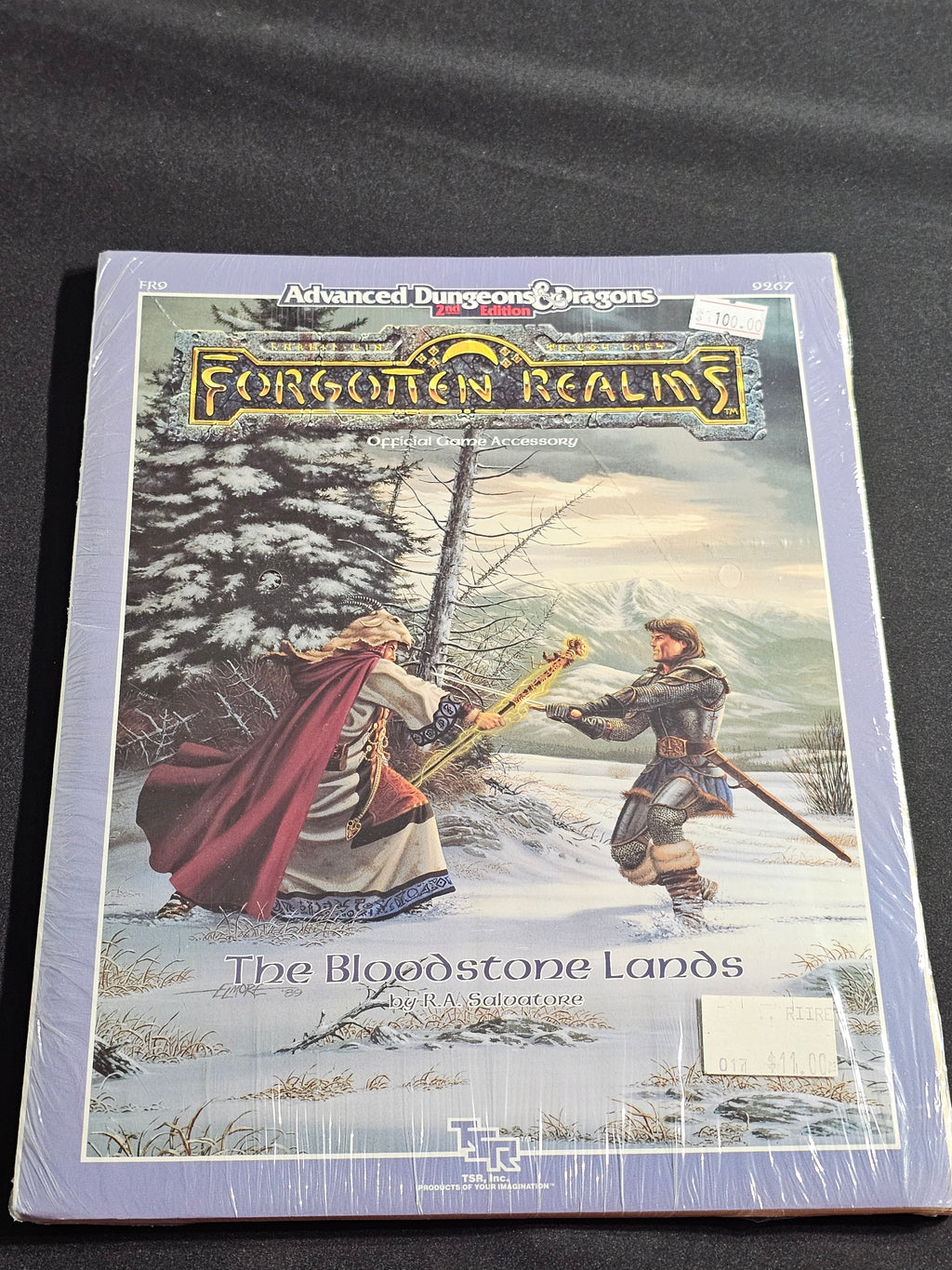 FR9 The Bloodstone Lands – SW