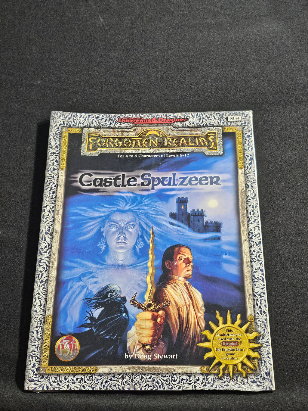 Castle Spulzeer – SW (TSR 9544)