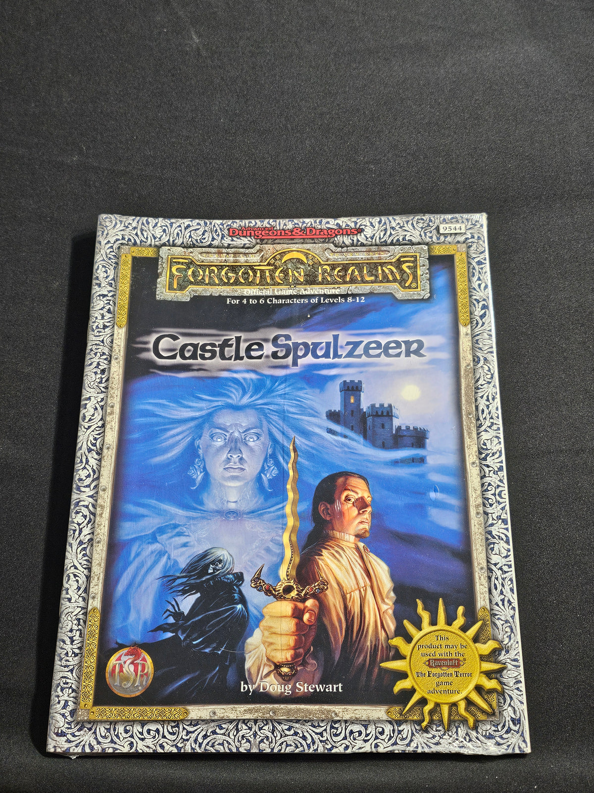 Castle Spulzeer – SW (TSR 9544)