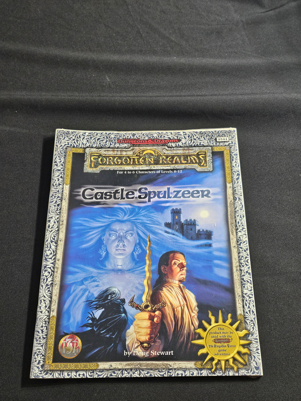 Castle Spulzeer – SW