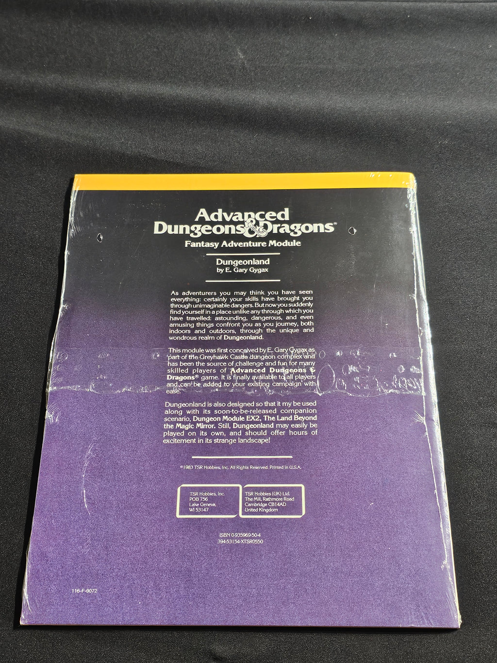 EX1 Dungeonland – SW