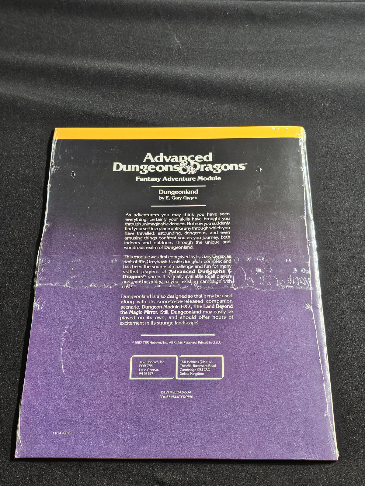 EX1 Dungeonland – SW