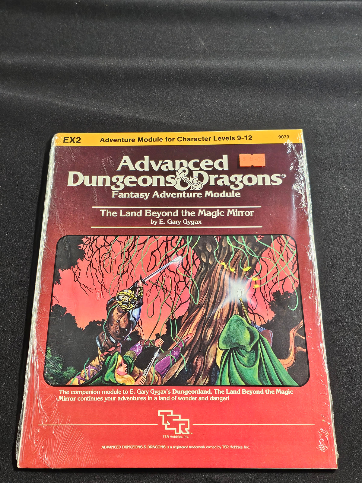 EX2 The Land Beyond the Magic Mirror – SW