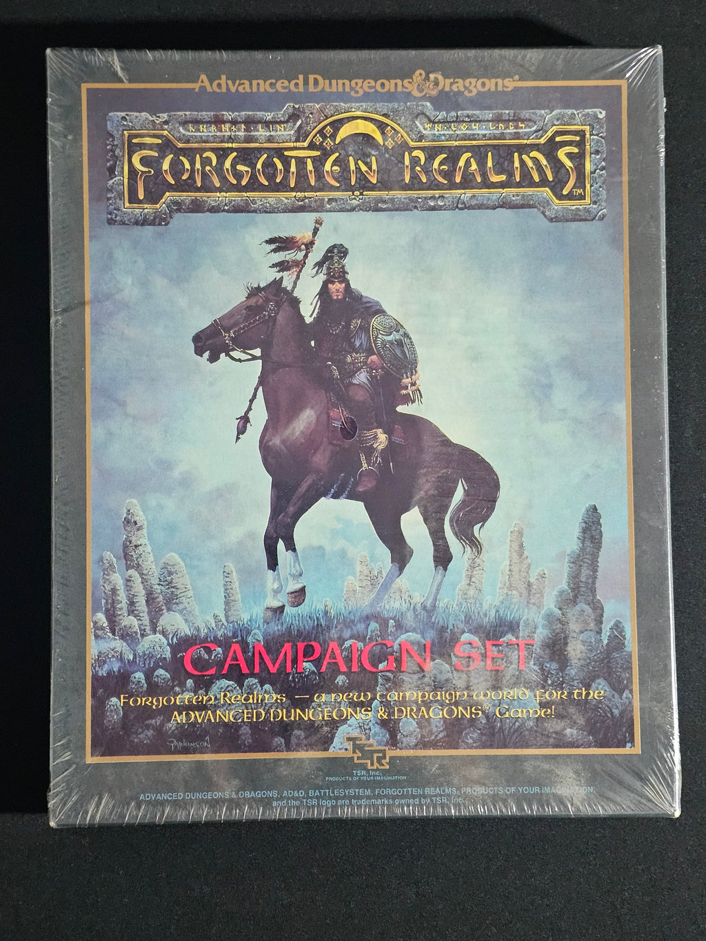 Forgotten Realms Campaign Set – SW