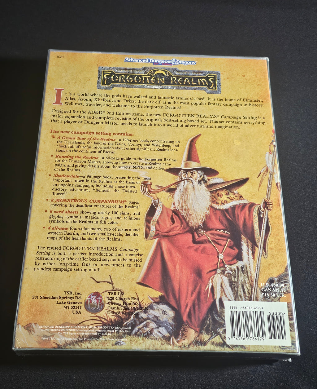 Forgotten Realms Campaign Setting – SW