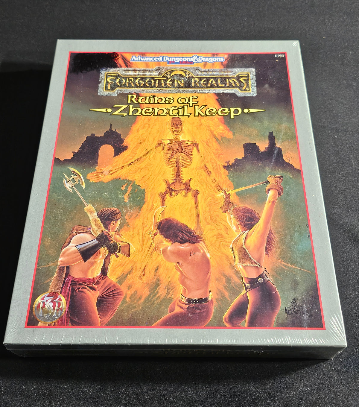 Forgotten Realms: Ruins of Zhentil Keep – SW