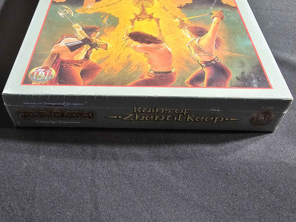 Forgotten Realms: Ruins of Zhentil Keep – SW