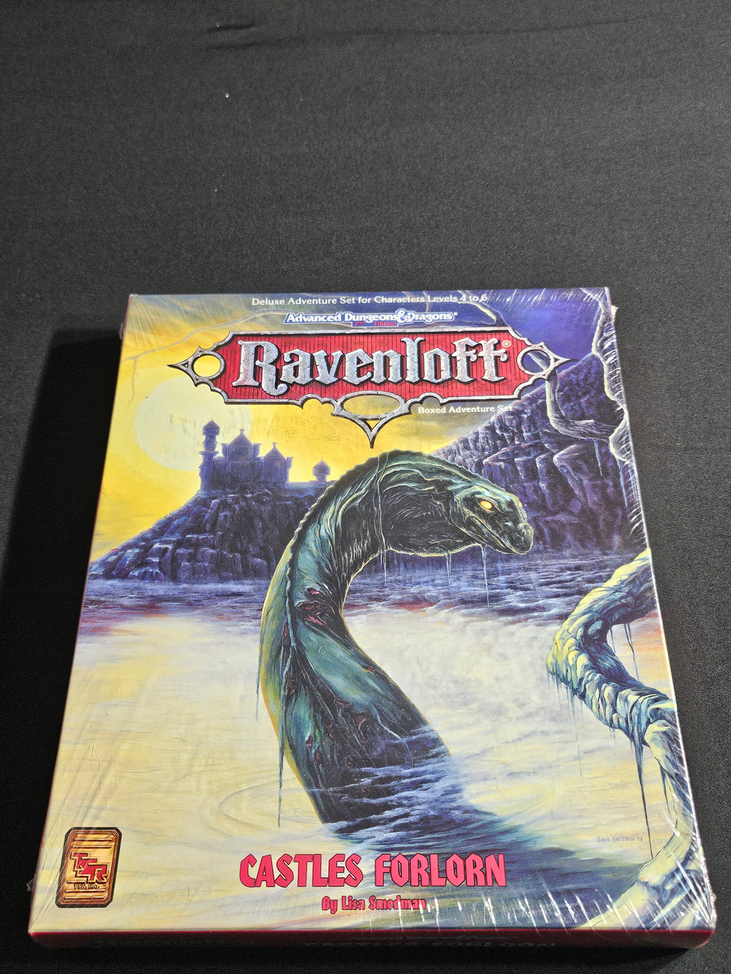 Ravenloft: Castles Forlorn Boxed Adventure Set – SW